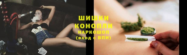 соль ск Краснослободск