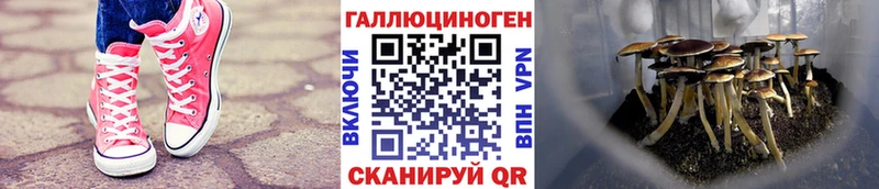Псилоцибиновые грибы мухоморы  Южно-Сухокумск 